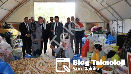 Dinar’da ceviz sezonu bereketli başladı: Üretici yüzü gülüyor