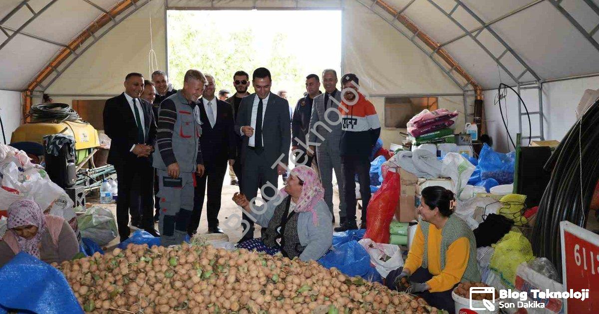 "Dinar’da ceviz sezonu bereketli başladı: Üretici yüzü gülüyor" başlıklı haber için fotorealistik, p