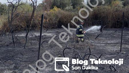 Muğla Yatağan’da Korkutan Yangın: Üzüm Bağları Alevlere Teslim Oldu