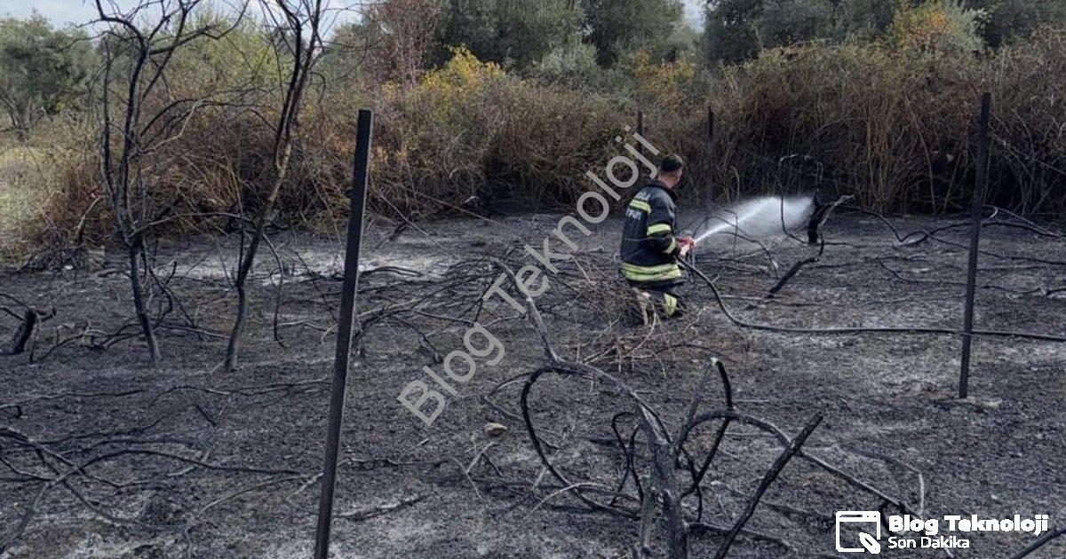 "Muğla Yatağan'da Korkutan Yangın: Üzüm Bağları Alevlere Teslim Oldu" başlıklı haber için fotorealis