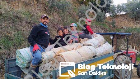 Sarıgöl’de Hasat Sonrası Telaş: Üzüm Bağları Örtüleri Toplanıyor