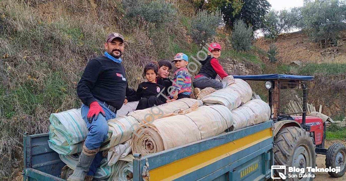 "Sarıgöl'de Hasat Sonrası Telaş: Üzüm Bağları Örtüleri Toplanıyor" başlıklı haber için fotorealistik