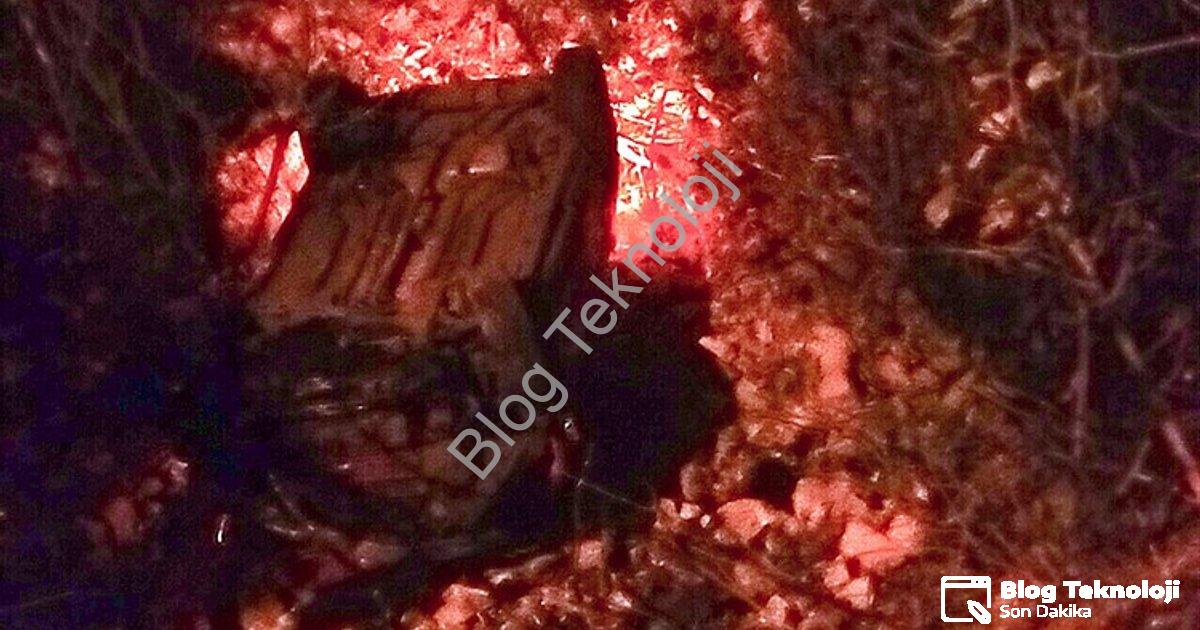 "Menteşe'de Korkutan Kaza: Araç Dereye Uçtu, Sürücü Yaralandı" başlıklı haber için fotorealistik, pr