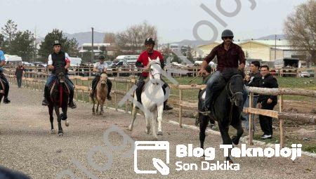 Tavşanlı’da Rahvan At Yarışları Nefes Kesti: Şampiyon Belli Oldu
