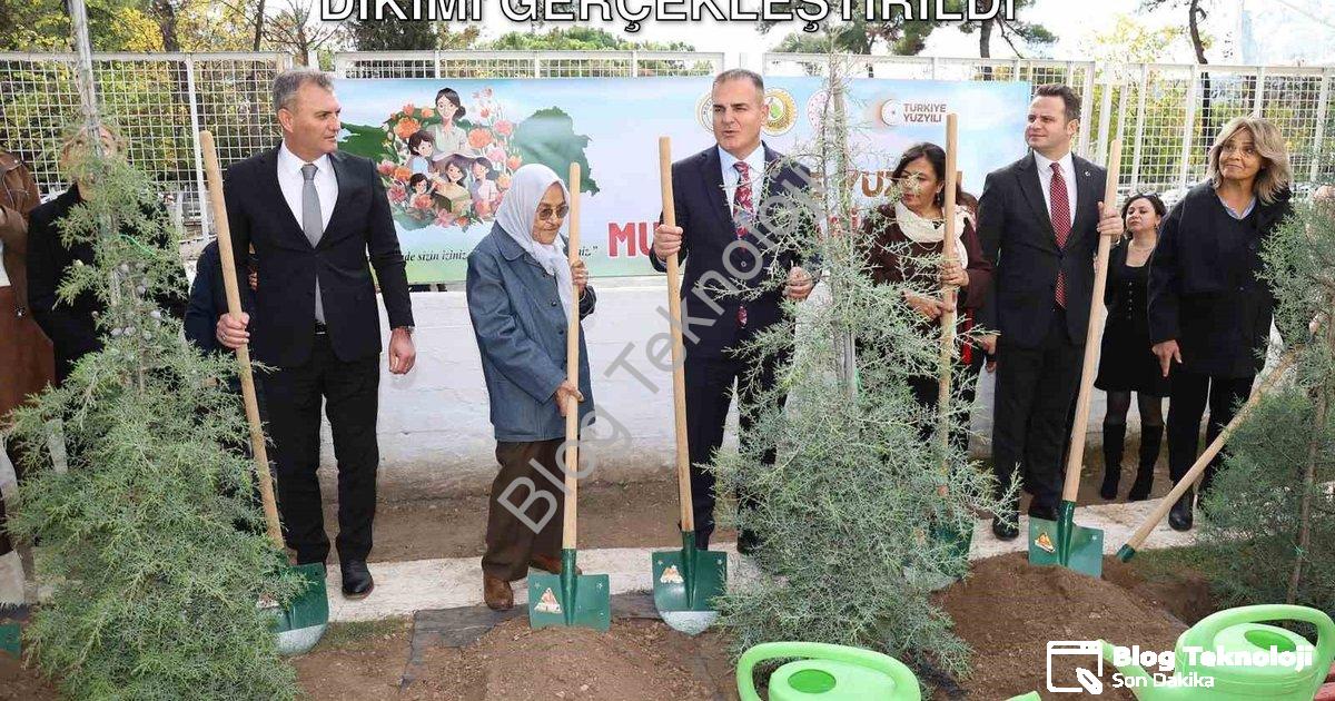 "Muğla'da 16.453 Öğretmen İçin Fidan Dikimi Gerçekleştirildi" başlıklı haber için fotorealistik, pro