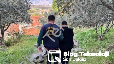 Aydın Söke’de Film Gibi Operasyon: Ormanda Saklanan Firari Yakalandı