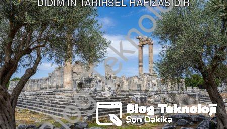 Başkan Gençay Vurguladı: Zeytin Ağacı Didim’in Tarihsel Hafızasıdır