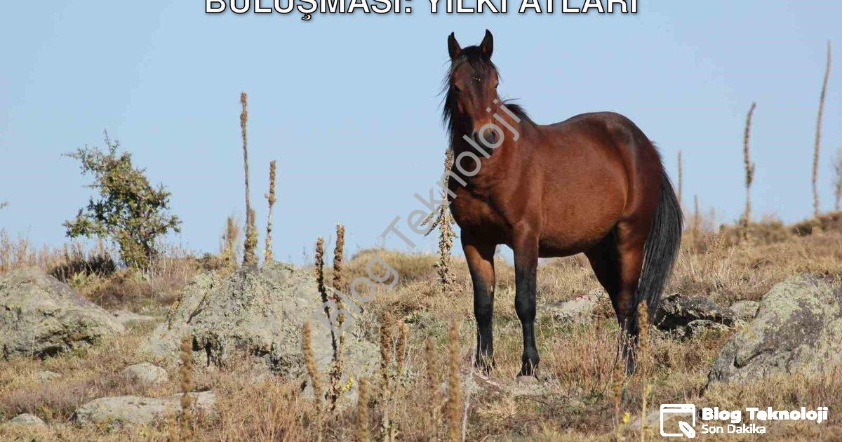 "Afyonkarahisar'da Doğa ve Teknolojinin Buluşması: Yılkı Atları" başlıklı haber için fotorealistik,
