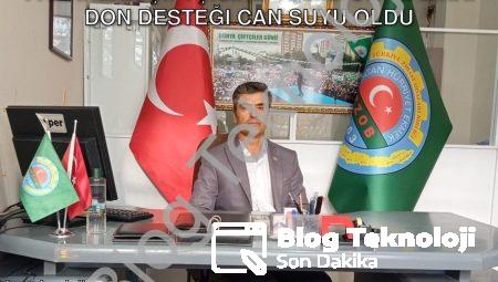 Pazarlar Çiftçisine 41 Milyon TL Zirai Don Desteği Can Suyu Oldu