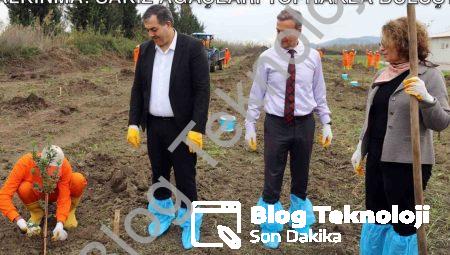 Dalaman Açık Cezaevi’nde Tarımsal Kalkınma: Sakız Ağaçları Toprakla Buluştu