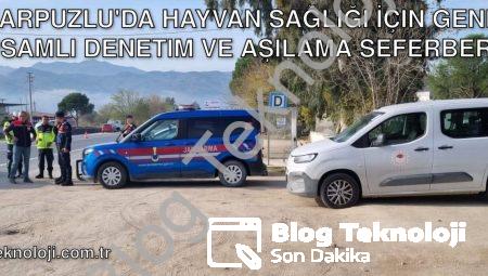Karpuzlu’da Hayvan Sağlığı İçin Geniş Kapsamlı Denetim ve Aşılama Seferberliği