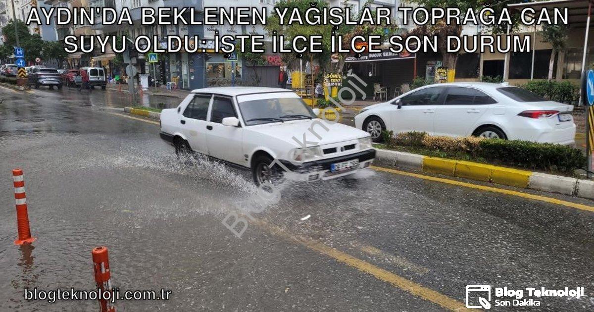 "Aydın'da Beklenen Yağışlar Toprağa Can Suyu Oldu: İşte İlçe İlçe Son Durum" başlıklı haber için fot