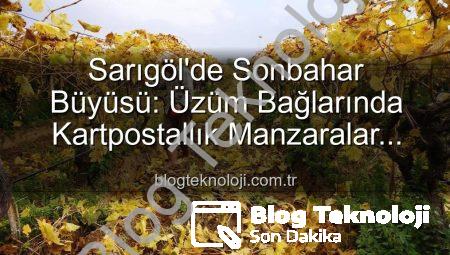 Sarıgöl’de Sonbahar Büyüsü: Üzüm Bağlarında Kartpostallık Manzaralar Eşliğinde Budama Çalışmaları Başladı