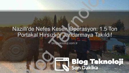 Nazilli’de Nefes Kesen Operasyon: 1.5 Ton Portakal Hırsızlığı Jandarmaya Takıldı!