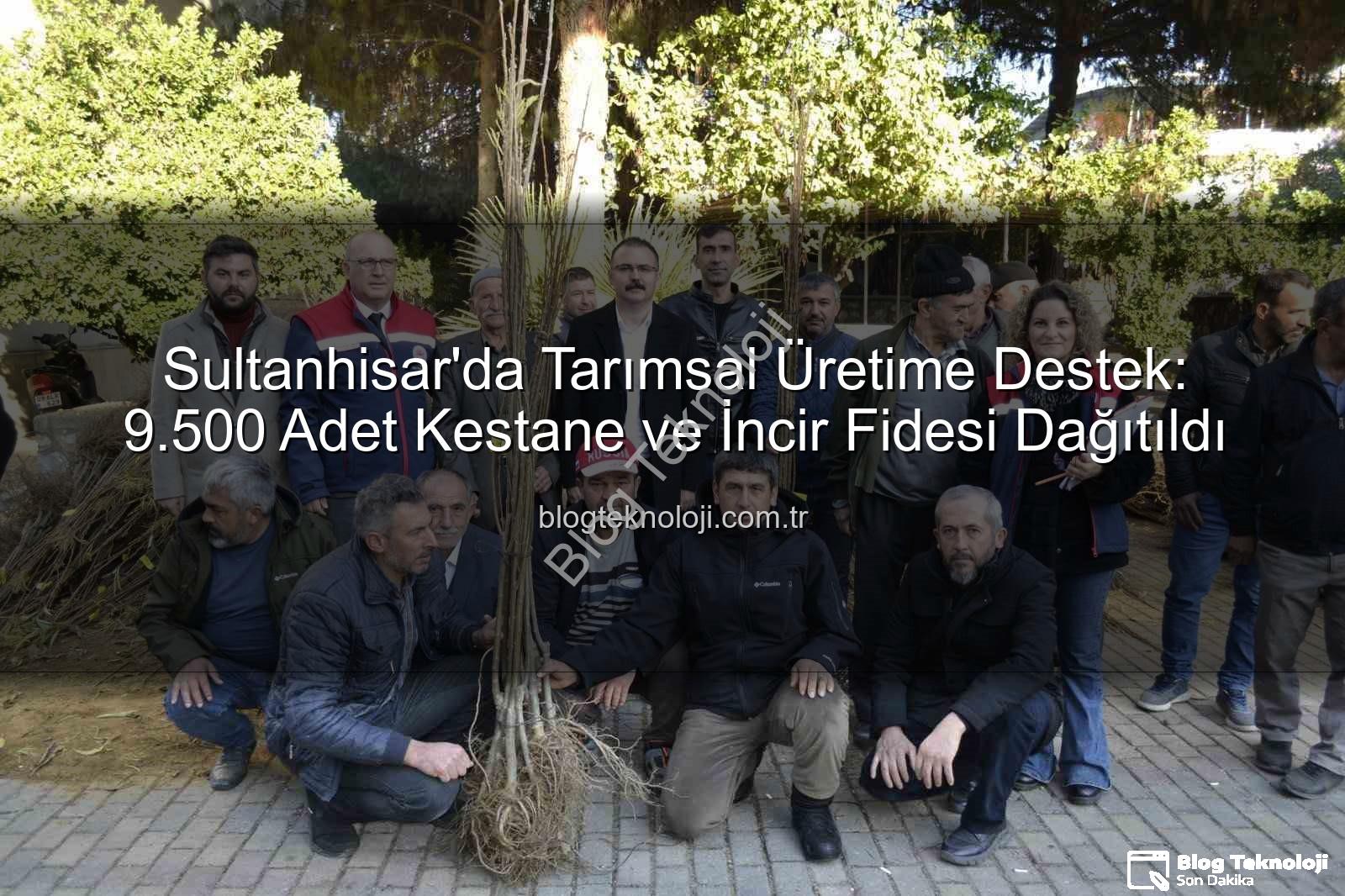 kestane incir fidesi - Sultanhisar'da Tarımsal Üretime Destek: 9.500 Adet Kestane ve İncir Fidesi Dağıtıldı