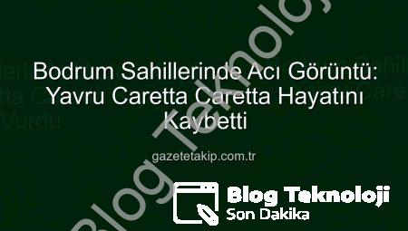Bodrum Sahillerinde Üzücü Keşif: Yavru Caretta Caretta Kıyıya Vurdu