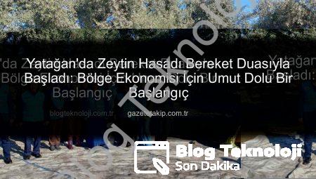Yatağan’da Zeytin Hasadı Bereket Duasıyla Başladı: Bölge Ekonomisi İçin Umut Dolu Bir Başlangıç