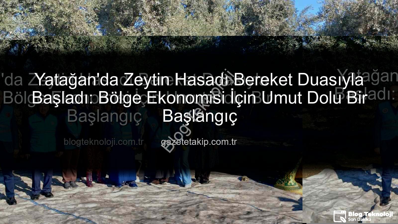 Yatağan zeytin hasadı - Yatağan'da Zeytin Hasadı Bereket Duasıyla Başladı: Bölge Ekonomisi İçin Umut Dolu Bir Başlangıç