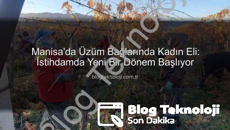Manisa’da Üzüm Bağlarında Kadın Eli: İstihdamda Yeni Bir Dönem Başlıyor