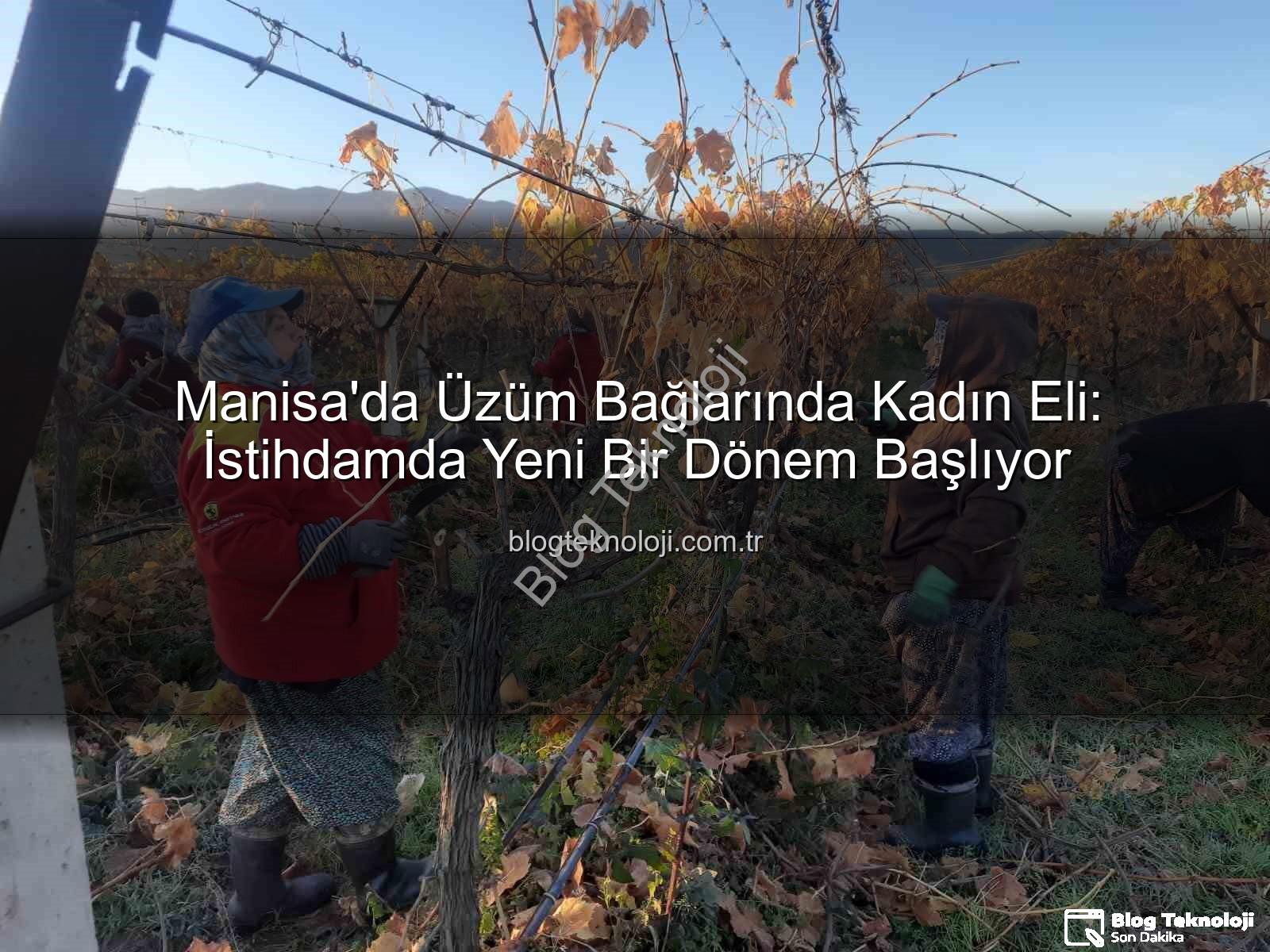 kadın istihdamı - Manisa'da Üzüm Bağlarında Kadın Eli: İstihdamda Yeni Bir Dönem Başlıyor