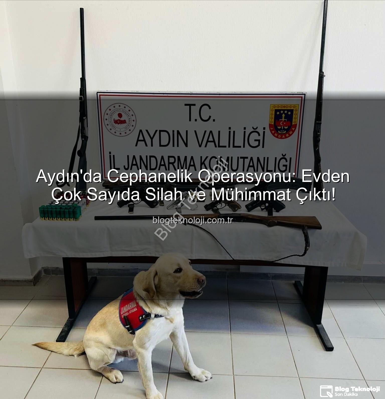 ruhsatsız silah - Aydın'da Cephanelik Operasyonu: Evden Çok Sayıda Silah ve Mühimmat Çıktı!