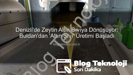 Denizli’de Zeytin Altın Sıvıya Dönüşüyor: Buldan’dan ‘Altın Sıvı’ Üretimi Başladı