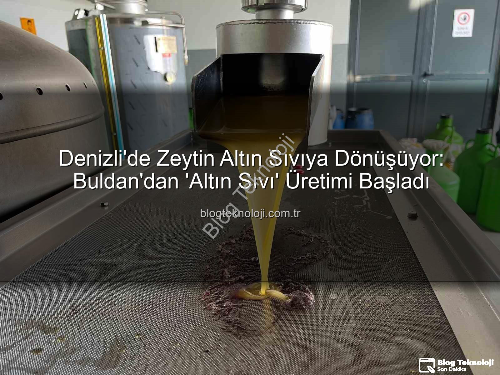 zeytin yağı üretimi - Denizli'de Zeytin Altın Sıvıya Dönüşüyor: Buldan'dan 'Altın Sıvı' Üretimi Başladı