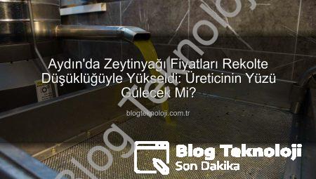 Aydın’da Zeytinyağı Fiyatları Rekolte Düşüklüğüyle Yükseldi: Üreticinin Yüzü Gülecek Mi?