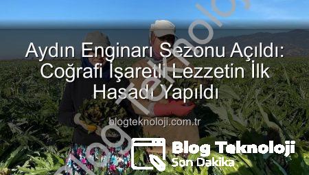 Aydın Enginarı Sezonu Açıldı: Coğrafi İşaretli Lezzetin İlk Hasadı Yapıldı