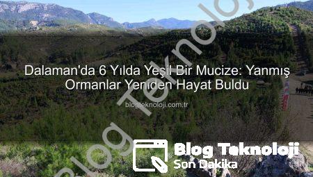 Dalaman’da 6 Yılda Yeşil Bir Mucize: Yanmış Ormanlar Yeniden Hayat Buldu