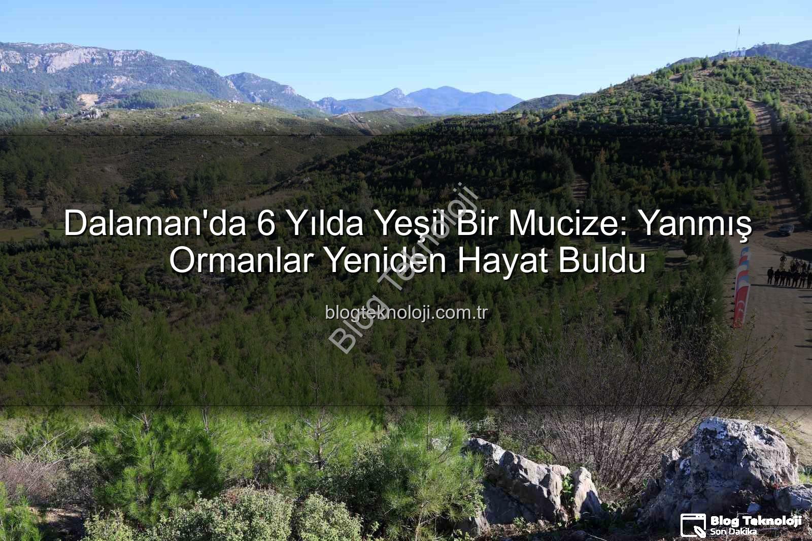 ormanlar yeniden yeşerdi - Dalaman'da 6 Yılda Yeşil Bir Mucize: Yanmış Ormanlar Yeniden Hayat Buldu