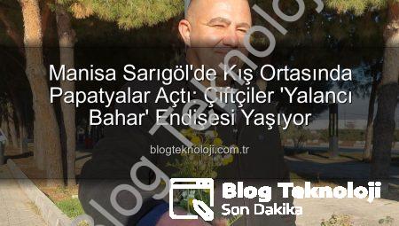 Manisa Sarıgöl’de Kış Ortasında Papatyalar Açtı: Çiftçiler ‘Yalancı Bahar’ Endişesi Yaşıyor